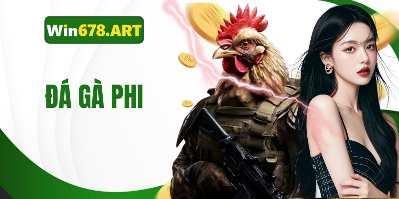 đá gà phi